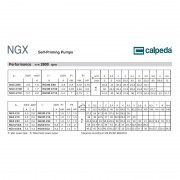 Самовсасывающий насос Calpeda NGX 2/80 230/400/50 Hz