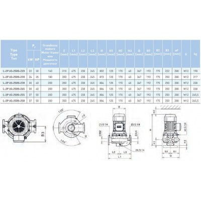 Циркуляционный насос In-Line SAER L-2P 65-250S-255 Циркуляционный насос In-Line SAER L-2P 65-250S-255