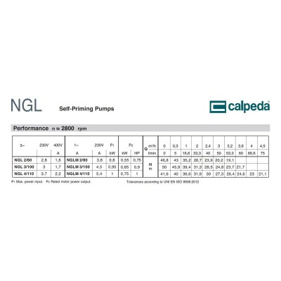 Самовсасывающий насос Calpeda NGLM 4/110 230/50 Hz Самовсасывающий насос Calpeda NGLM 4/110 230/50 Hz