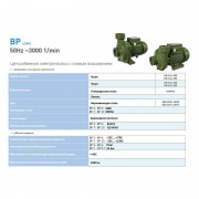 Наcосный агрегат моноблочный резьбовой SAER BP 12C 230V