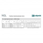 Самовсасывающий насос Calpeda NGLM-4/A